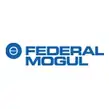 Federal-Mogul