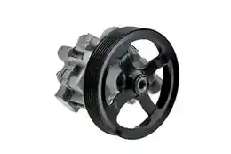 Power steering pumps